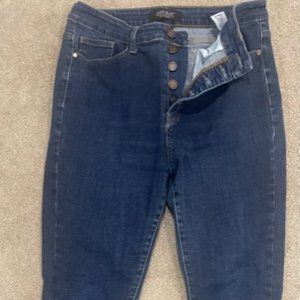 Judy Blue Button Fly Skinny Jeans